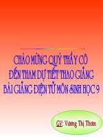 Bai 50 - He sinh thai