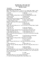 Đề kiểm tra (HK II-Nâng cao)