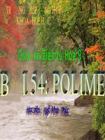 BAI 53 POLIME
