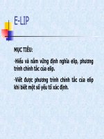 E-lip (bản trình chiếu)