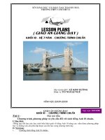 Giáo án English10 chuẩn ( trọn bộ )