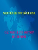 Nghi thức ĐỘi TNTPHCM