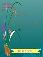 GAĐT - TẦN SỐ - CÁC GIÁ TRỊ CỦA DẤU HIỆU