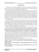 Hoàn thiện kế toán nghiệp vụ tiêu thụ thành phẩm tại công ty SX&DVXK Nguyễn Hoàng