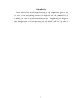 xây dựng nền kinh tế thị trường định hướng xã hội chủ nghĩa ở Việt Nam