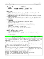 Hướng nghiệp 10 thang 5