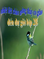 chim son ca va bong cuc trang