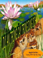 Du an trong cay trong dung dich