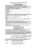 Bài tập Ôn tập Ngữ Văn 6 (Tiếng Vệt)