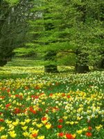 So sánh hai phân số