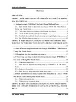 Một số giải pháp xây dựng và phát triển thương hiệu cho Công ty TNHH đầu tư sản xuất và thương mại thanh xuân