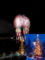 Tiết 50 bài 40. Hạt trần-Cây thông