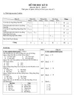 Đê thi HK II ( MT + ĐA) Dịa lí 9