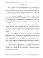 Hoàn thiện công tác kế toán bán hàng vật tư, vật liệu xây dựng tại công ty cổ phần đầu tư và dây dựng phát triển du lịch Hà Nội