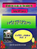 Ngoại khóa môi trường