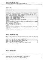 Đánh giá khái quát tổ chức hạch toán kế toán tại nhà máy chế biến Dứa cô đặc xuất khẩu Nghệ An