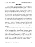 Các giải pháp tín dụng ngân hàng nhằm thực hiện mục tiêu xóa đói giảm nghèo tại Phòng gian dịch NHCS huyện Tứ Kỳ - Hải Dương