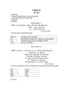 chinh ta on tap buoi chieu