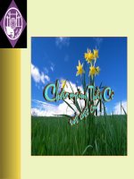 đồ thị hàm số bậc hai