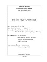 Xây dựng và thực hiện các chương trình, đề tài, dự án, nhiệm vụ về quản lý môi trường 