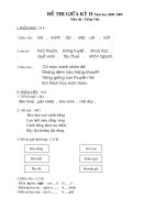 ĐỀ THI GIỮA KỲ II