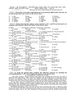 Đề Thi Anh kỳ I lớp 10 CB