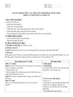 GIAO AN 10 NANG CAO T28