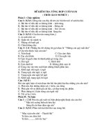 đề kiểm tra văn 9 học kì 2