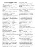 Review Grammar & Vocabulary - Unit 11