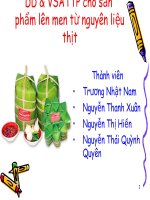 D D THỊT PP