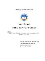 PHÂN TÍCH BÁO CÁO TÀI CHÍNH TẠI CÔNG TY CỔ PHẦN INVACO VIỆT NAM