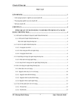 ’’Mô hình Logistic và xếp hạng tín dụng khách hàng doanh nghiệp tại Ngân hàng Thương Mại cổ phần VietBank