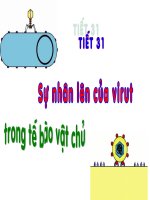 Sự nhân lên của virut