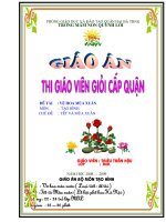 Tao hinh - Ve hoa MX