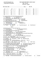 ôn tập nghề phổ thông