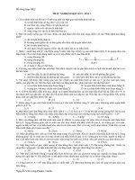 Đề tổng hợp học kì 2 (bài 1)