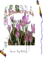 tiết 19 Luyện tập