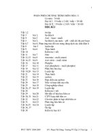 pp choung trinh hoa 11