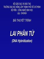 Công nghệ sinh học