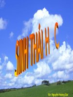 Nhân tố sinh thái