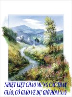 Tiết 64 : Ngữ Văn9