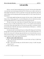 Thực trạng hoạt động sản xuất kinh doanh của công ty cổ phần công nghệ thông tin Nam Á.