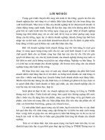 kế toán bán hàng phân bổ chi phí mưa hàng tại công ty TNHH Thương Mịa Và Đầu tư Tuấn Linh