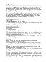 Nàng Bạch Tuyết.