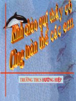 Bài 44: Rượu Etylic