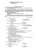 Đề kiểm tra Ngữ văn 9 HKI