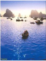 Đoàn thuyền đánh cá