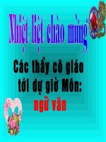 Phong cách ngôn ngữ văn chương