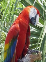 đại số - toán 9