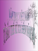 Văn học Việt Nam từ đầu TK XX đến CM T8 1945